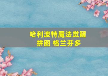 哈利波特魔法觉醒 拼图 格兰芬多